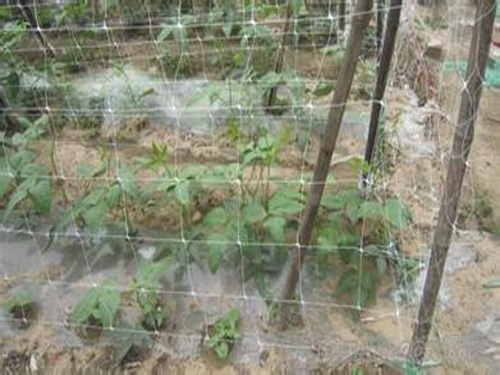 201507311800419879 201507311800419879