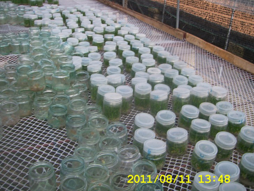 2015010382215937 2015010382215937