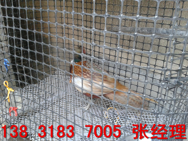 1385452401-2344486_副本 1385452401-2344486_副本