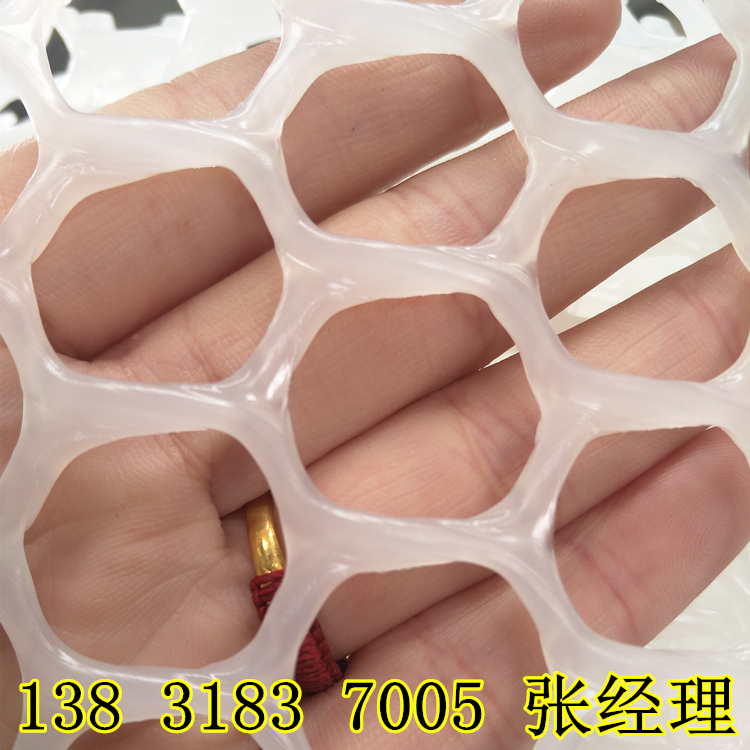 8311501816356.jpg 8311501816356.jpg